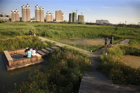 玉合公園裡的花園景緻與城市喧囂的對比